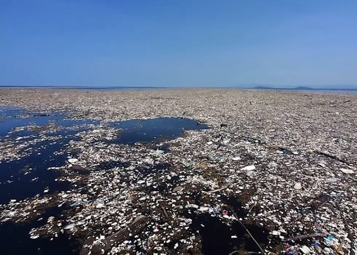 Ӣ�����ٺ�̲�������ϳ��֡�������ͼƬ��