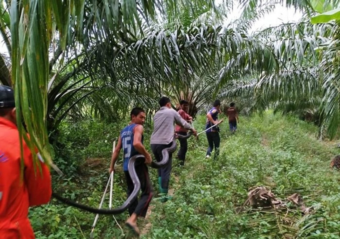 ̩�����ȸ���鵵��з����۾����ߴ�ս���� �Ժ����ж���������