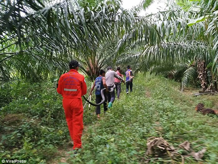 ̩�����ȸ���鵵��з����۾����ߴ�ս���� �Ժ����ж���������