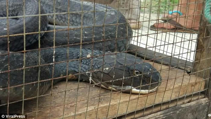 ̩�����ȸ���鵵��з����۾����ߴ�ս���� �Ժ����ж���������