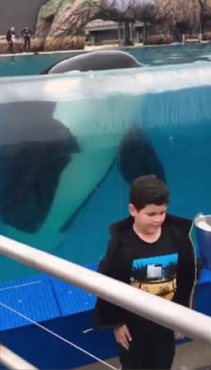 ����ʥ�����綯��԰ɱ�˾�������ͯתȦ������ѧ����ˮ�и���תȦ