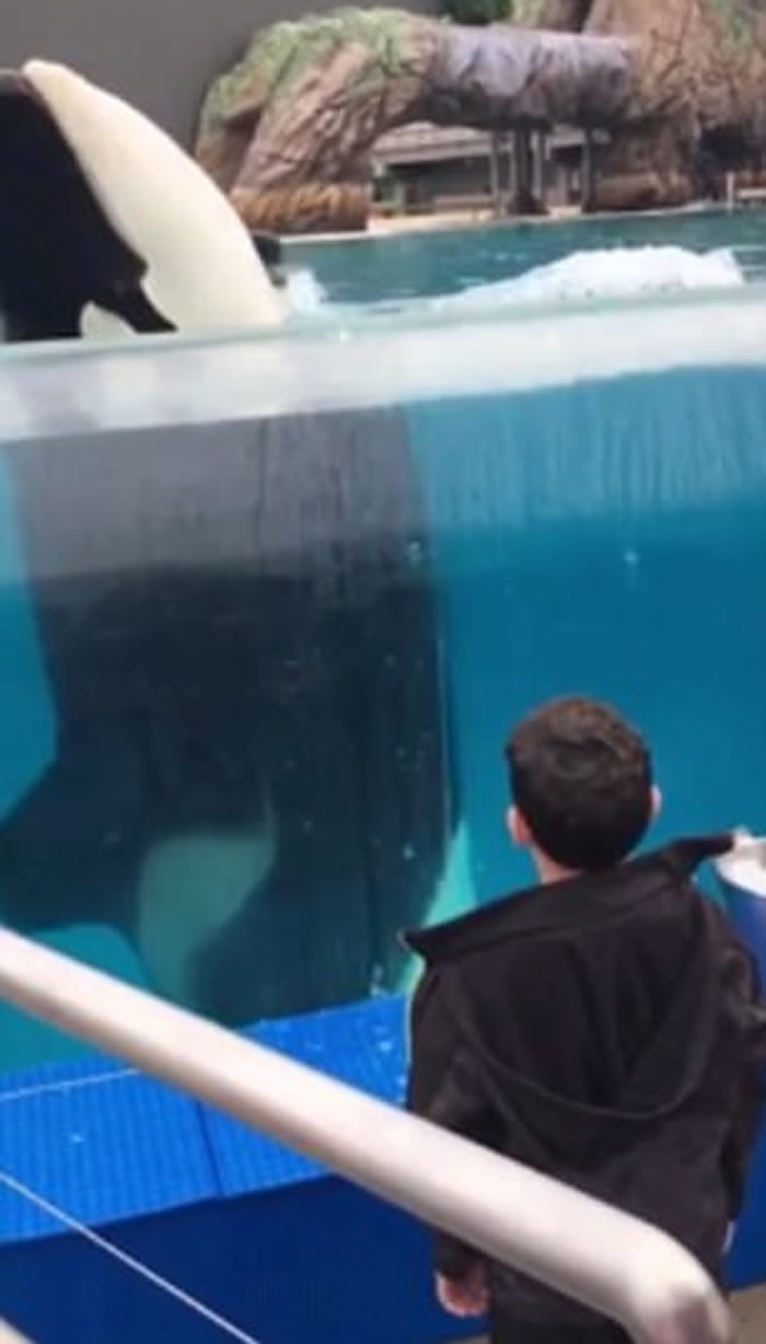 ����ʥ�����綯��԰ɱ�˾�������ͯתȦ������ѧ����ˮ�и���תȦ