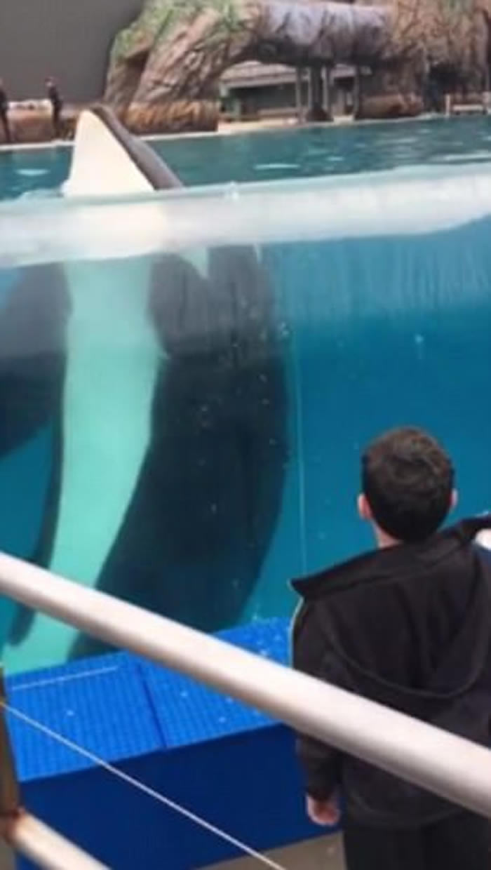 ����ʥ�����綯��԰ɱ�˾�������ͯתȦ������ѧ����ˮ�и���תȦ