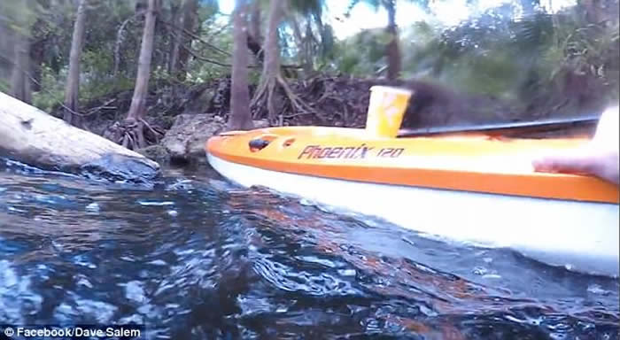 美国佛罗里达州青年大胆跳河 翻看影片惊见巨鳄踪影