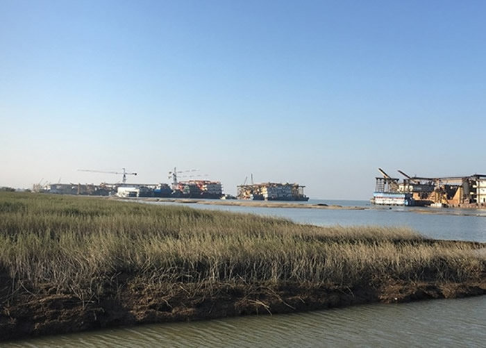 集中停靠在南套水域的挖砂船。