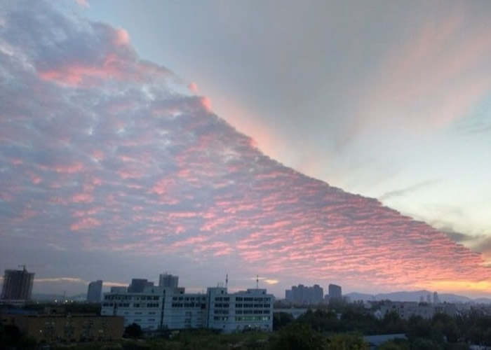 夕阳映照下,“火烧云”显得份外优美。