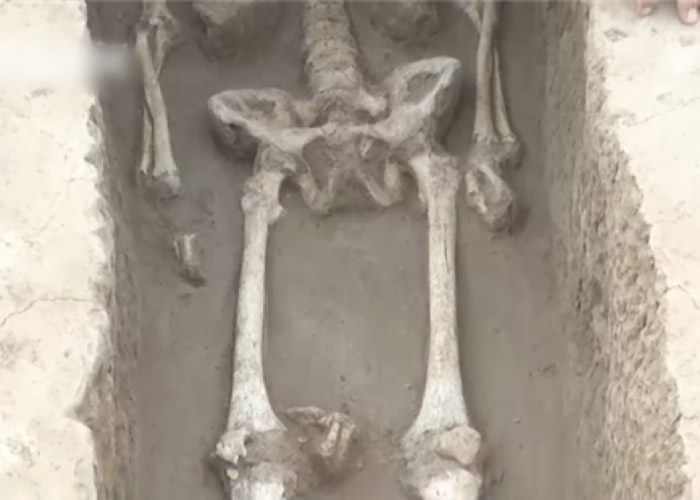 很多墓主人都出现曾经被“剁手”的现象。