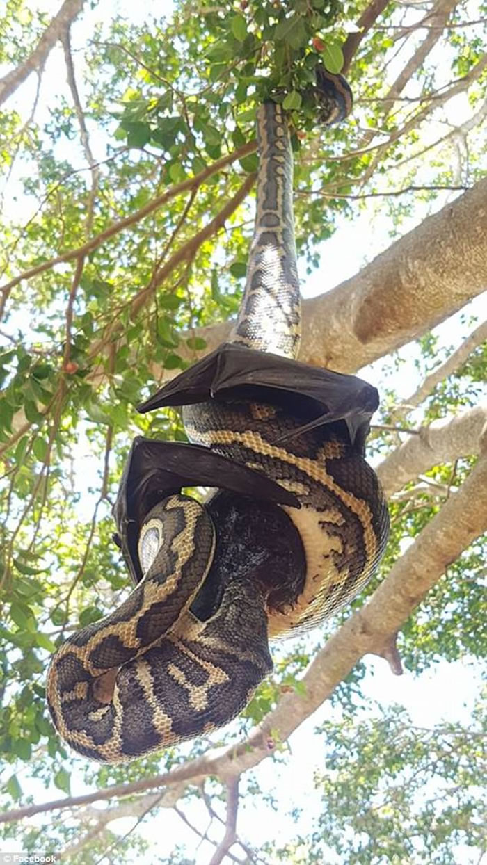 ���޲���˹���ձ�����ԳԵ��Ѿ���ȥ������