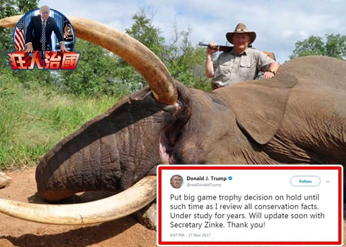 特朗普发文(小图)宣布煞停落实新例的决定。