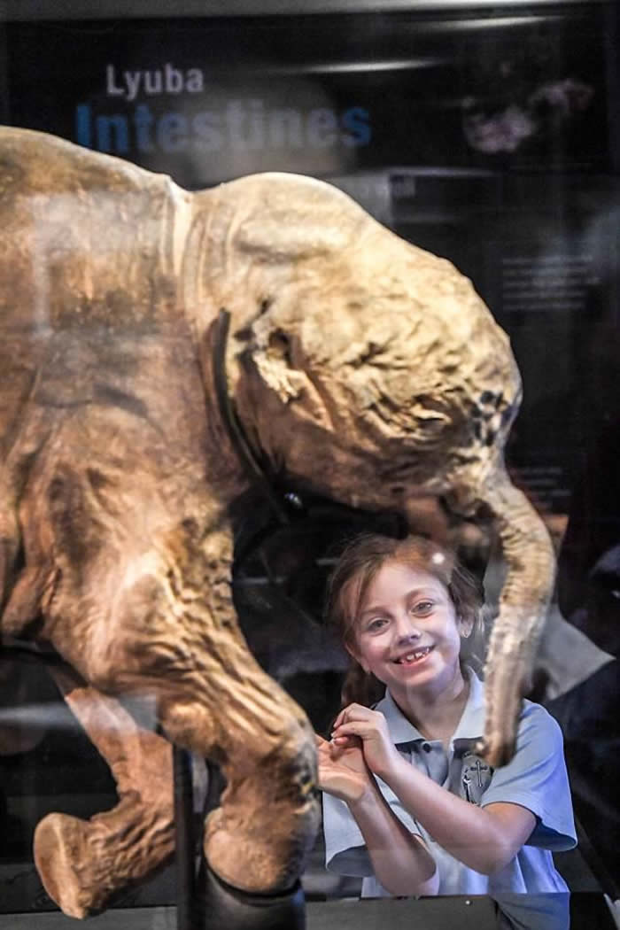 ˹ëLyuba״Ρ̤㡱ϰ ޲չ