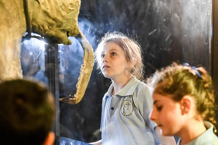 ˹ëLyuba״Ρ̤㡱ϰ ޲չ