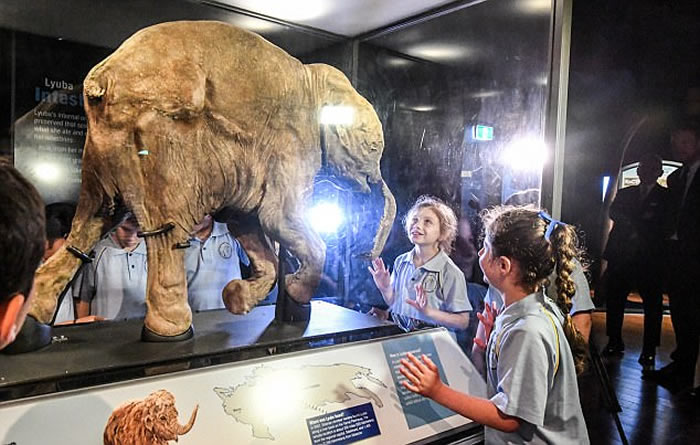 ˹ëLyuba״Ρ̤㡱ϰ ޲չ