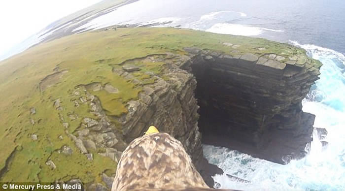 Ӣ���ո�����β����������������¼�������Ʊ��İ������