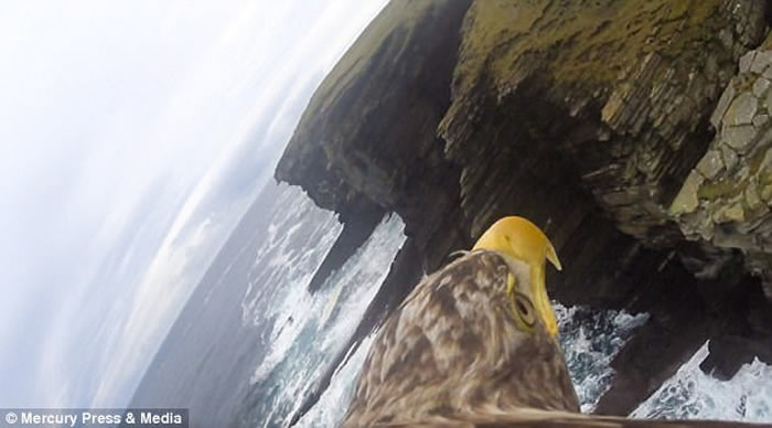 Ӣ���ո�����β����������������¼�������Ʊ��İ������