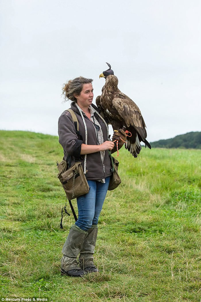 Ӣ���ո�����β����������������¼�������Ʊ��İ������