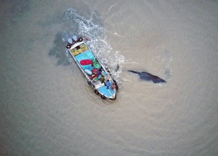 ��ͷ���������ȸ�ǳ��������ǳ̲������