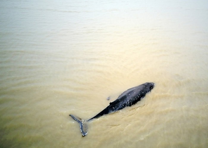 ��ͷ���������ȸ�ǳ��������ǳ̲������