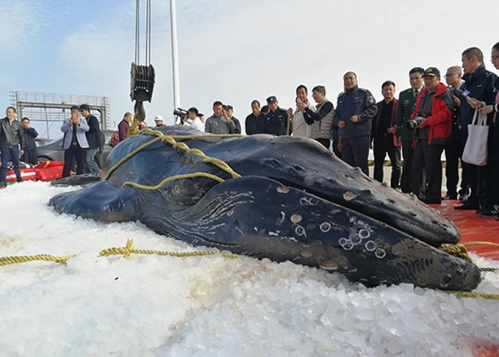 ��ͷ���������ȸ�ǳ��������ǳ̲������