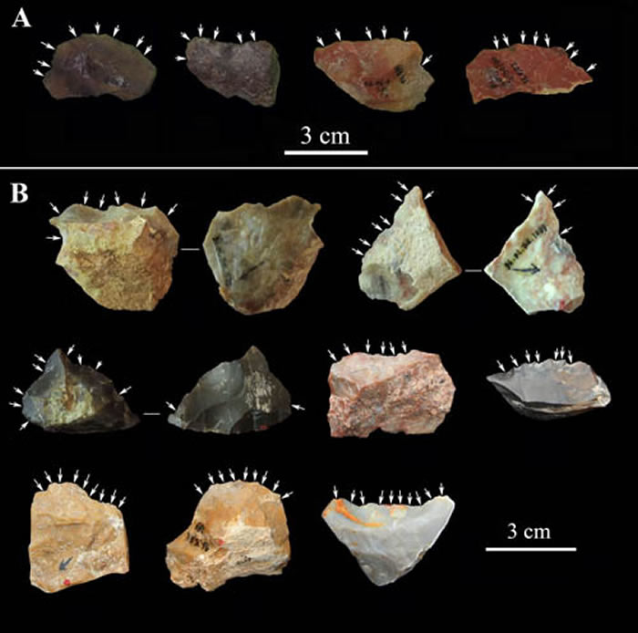 飞梁遗址出土的部分石器(裴树文供图)