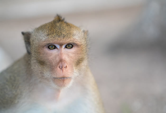 �Ƚϲ�ͬ�鳤��Ĵ�����ʾ�����������س���ԭ��