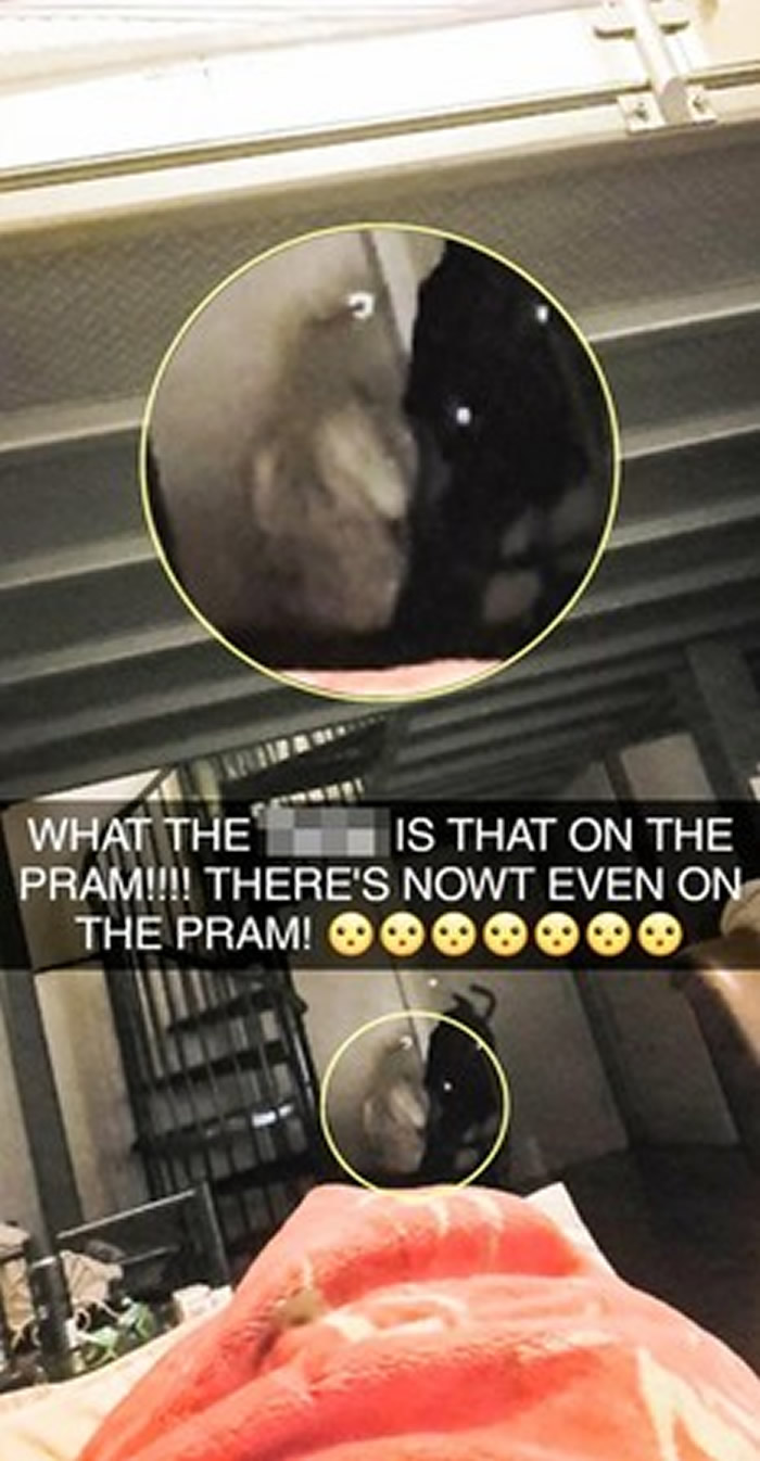 Ӣ����Լ�˿���˹���л�˫��̥Ů������ ���ܺ��ĵ���������