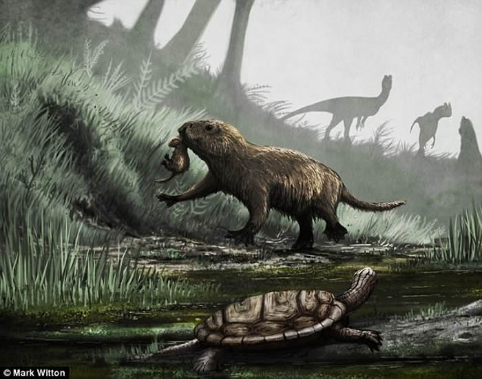 恐龙灭绝后 哺乳动物便开始同时在白天和黑夜活动