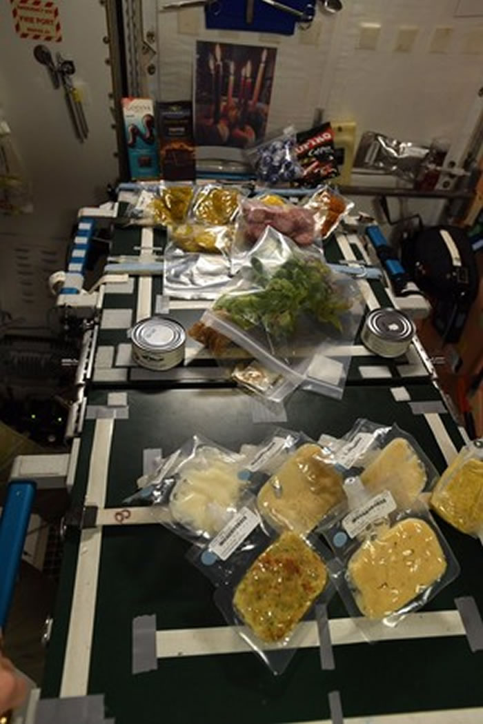 国际空间站宇航员的感恩节大餐:袋装火鸡肉和马铃薯