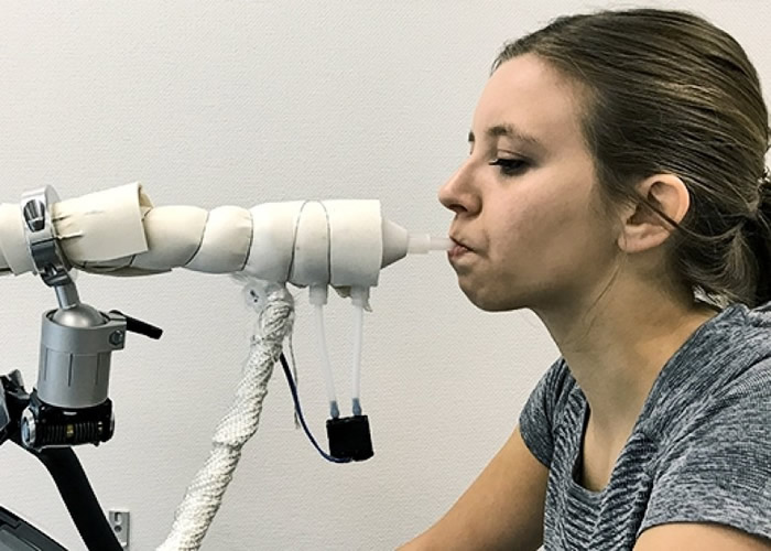 ��������Բ��֬�������������