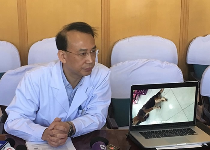 任晓平曾播放狗只完成脊髓损伤重生的试验影片。