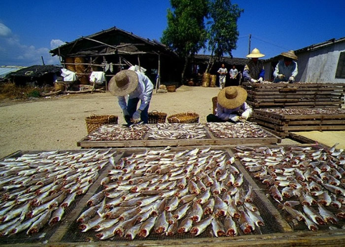 ֯ʰ֢о°嵥йʽ㡱һ