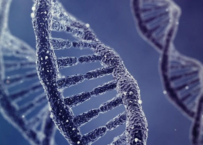 “基因编辑”技术或能治愈现有的不治之症。