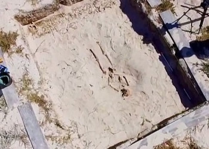 学者努力寻找剩余的骸骨。