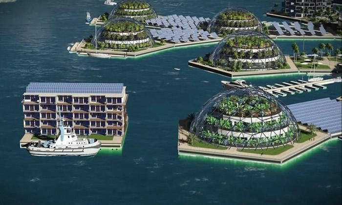 �����еĳ����Դ���ȻΪ������