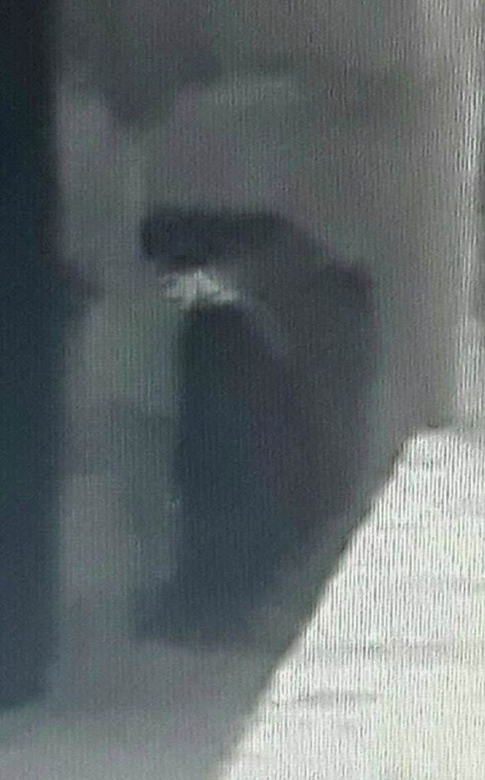 Ӣ����ǰ�����ֶ�����������̽�� �ĵú����˿���Ʈ�������컭��