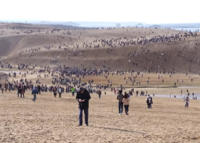 ֻϷPokmon GO׽С 1.5뼯ձȡɰ