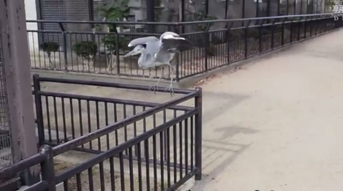 Ұ�����ؼ���ÿ�춼��ǰ����̽�ס���