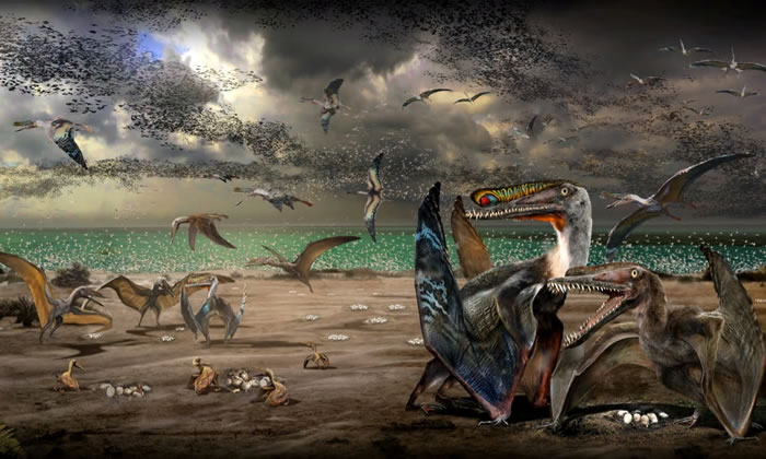 �й��½��������������������ʯ������ṩ������������