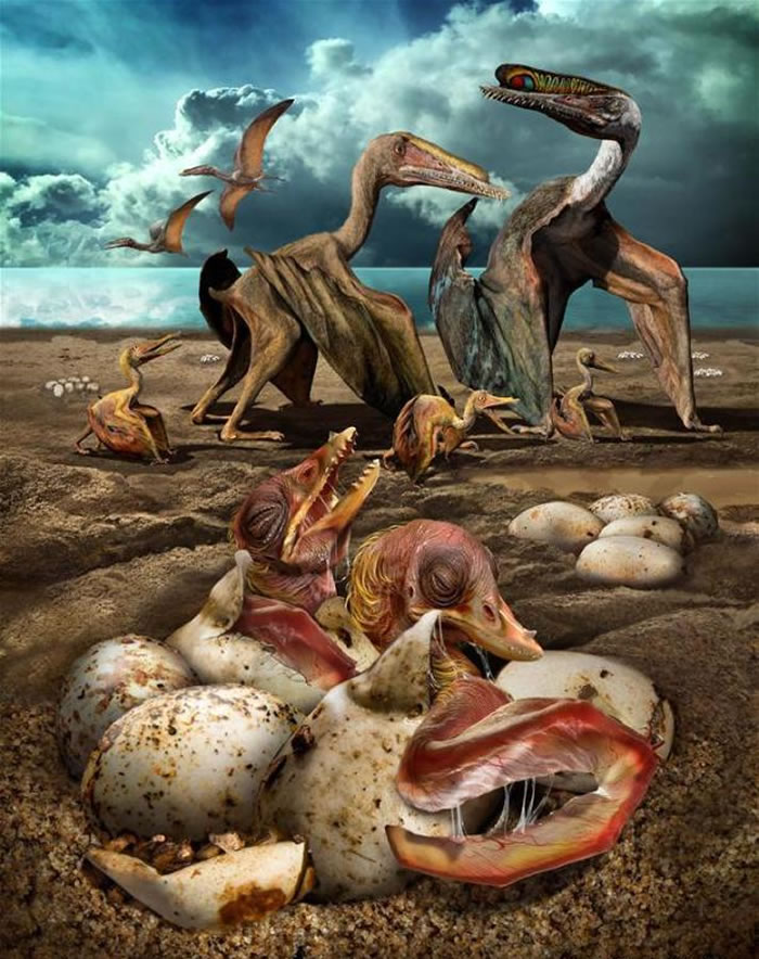 �й��½��������������������ʯ������ṩ������������