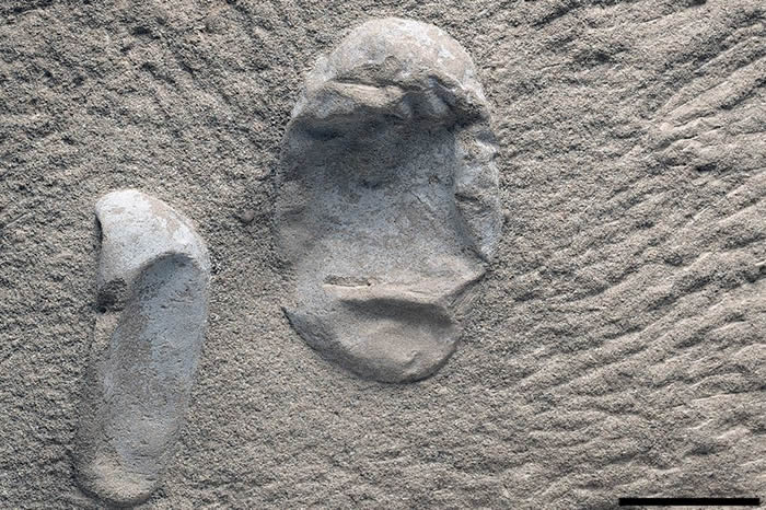 �й��½��������������������ʯ������ṩ������������