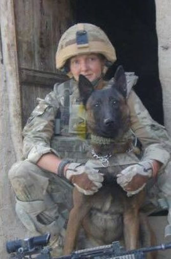 �޷����°��ã�������ս���оȹ���ǧӢ��ʿ�������ľ�Ȯ������ע�䶾�ﰲ����