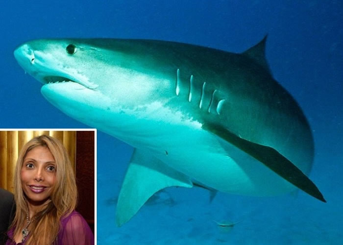 ����ŦԼ�����ֻ���Ů��������˹�����Ǳˮ�⻢��˺ҧ����