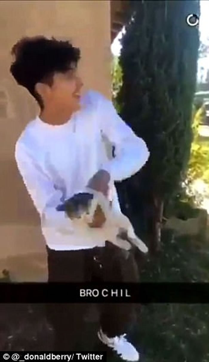 加拿大安大略省少年残忍投掷猫咪 狠堕路面摔断脚