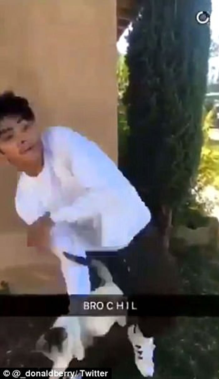 加拿大安大略省少年残忍投掷猫咪 狠堕路面摔断脚