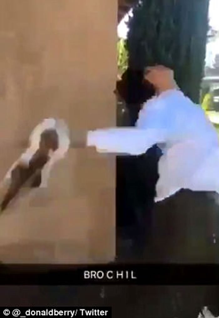 加拿大安大略省少年残忍投掷猫咪 狠堕路面摔断脚