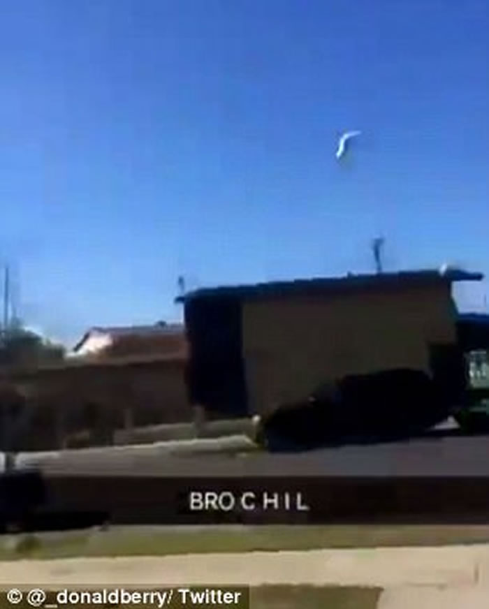 加拿大安大略省少年残忍投掷猫咪 狠堕路面摔断脚