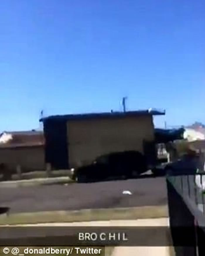 加拿大安大略省少年残忍投掷猫咪 狠堕路面摔断脚