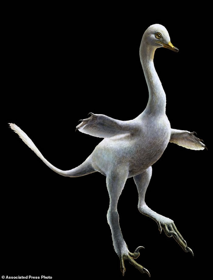 ˮ죡ɹŷְѼͿ֡Ϲȿ