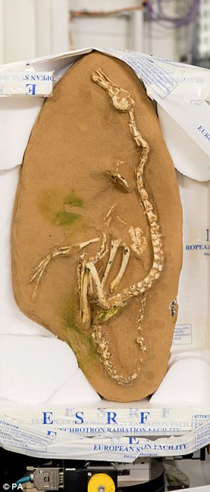 ˮ죡ɹŷְѼͿ֡Ϲȿ