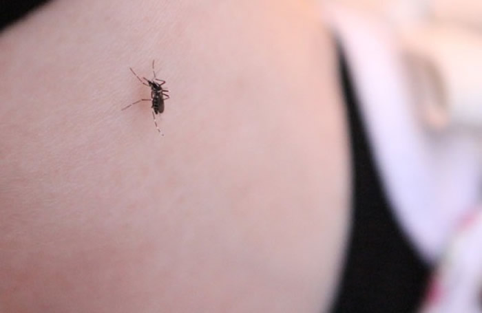 �Ǹ��ȿɾ��ɰ������ô�Ⱦ��