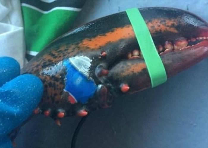 ôһͷϺǯϳһˮƷƵ̱ͼǡ